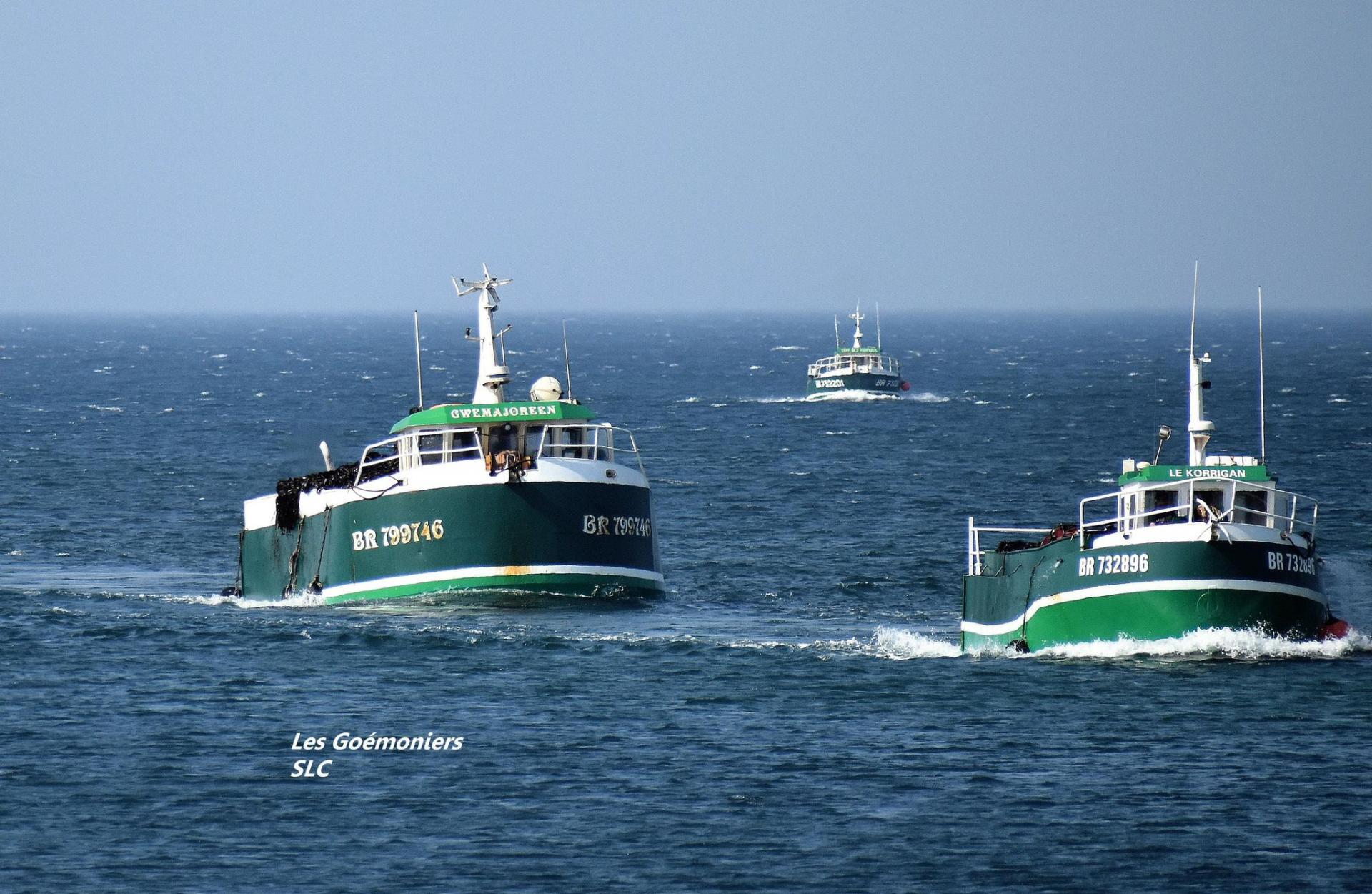 200917 flottille galliou a lanildut c sebastien le corre