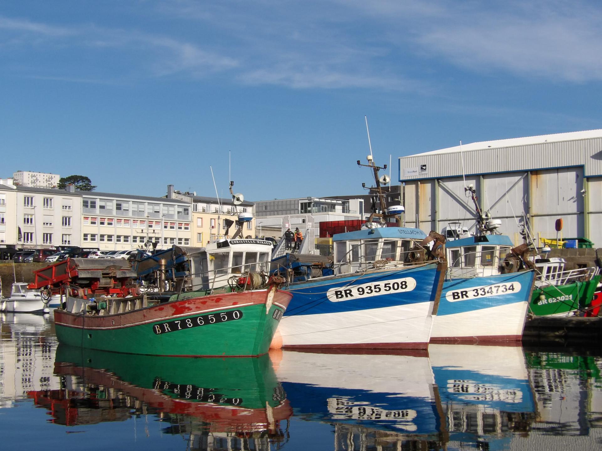 250114 christelle mickael et flottille bouzeloc a brest b