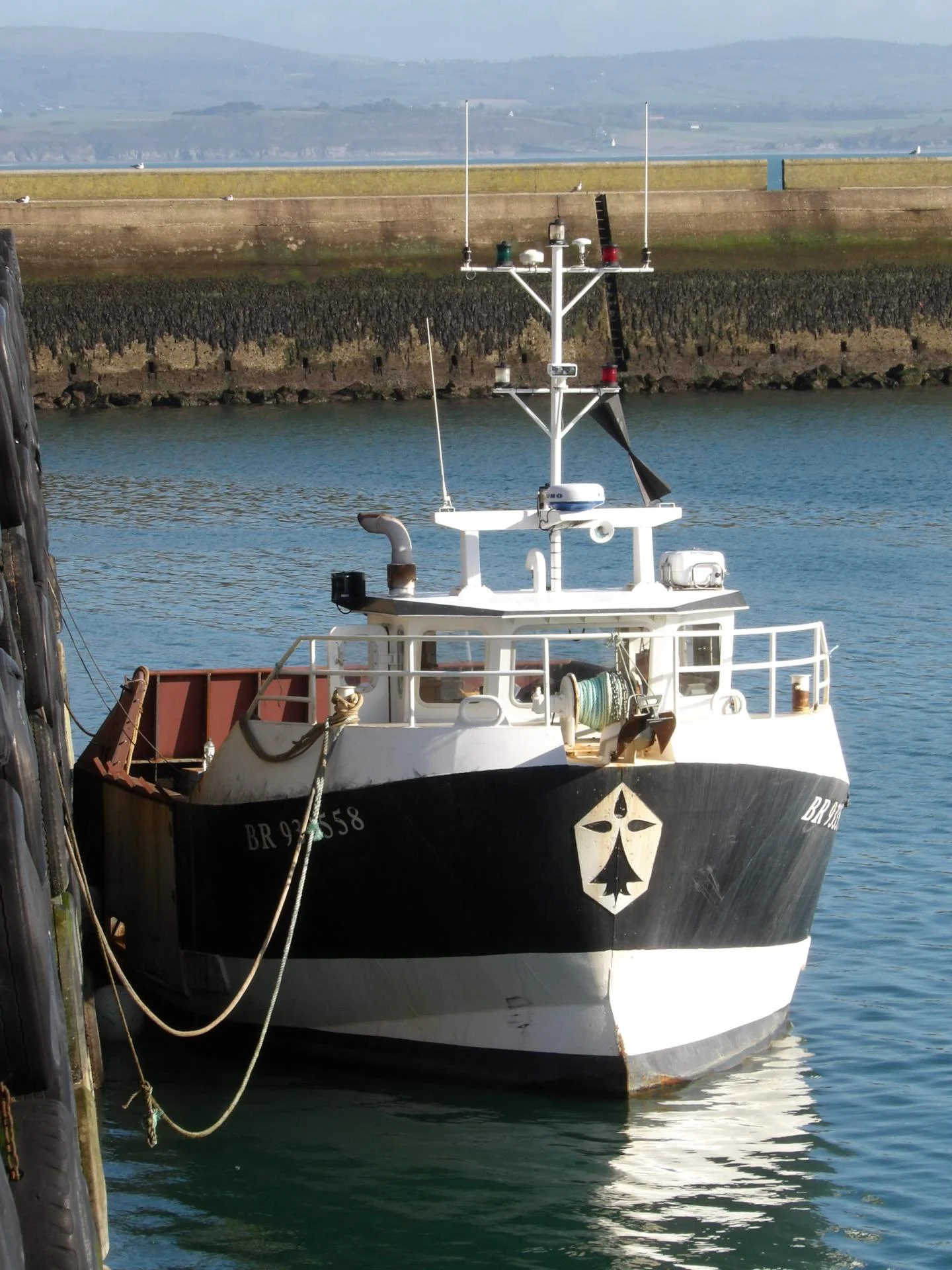 260302 argadus a dz a