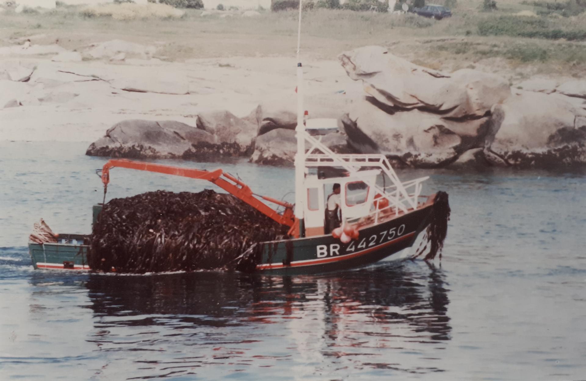 Br442750 venus des iles b alain quere 1988